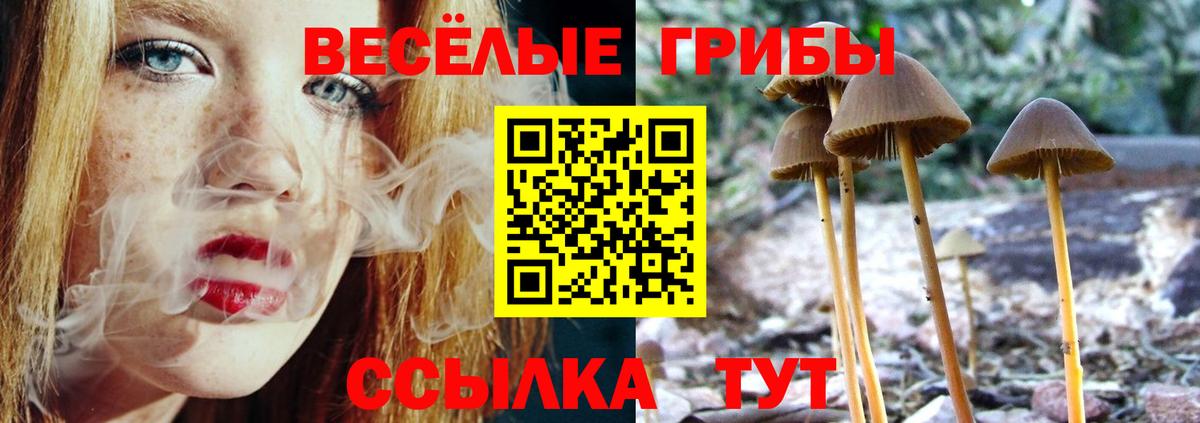 Галлюциногенные грибы MAGIC MUSHROOMS  Галлюциногенные грибы Magic Shrooms  Вход с VPN  Петрозаводск 